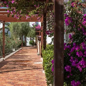  Apartamento Teguisol 258, Apt. With Terrace, Near The